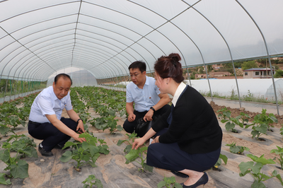 黨建引領促發展 技術扶貧暖人心——蘭州高新區“兩新”組織黨委攜手愛心企業開展“支部結對共建、助力脫貧攻堅”主題黨日活動側記