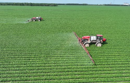 北大荒集團北安分公司 以定制農業(yè)與種植技術開發(fā)，繪就高質量發(fā)展新圖景